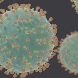 Nova variante do coronavírus é descoberta em meio ao descontrole da pandemia