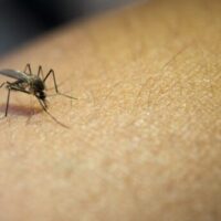 Brasil registra 4,2 milhões de casos prováveis de dengue