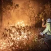 Monitoramento mostra que 99% dos incêndios são por ação humana