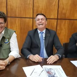 Boiada: Na madrugada, Câmara aprova projeto que destrói legislação ambiental