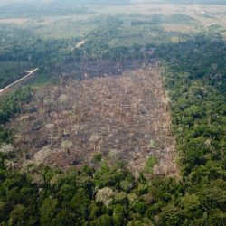 Câmara aprova projeto de lei que fragiliza o licenciamento ambiental