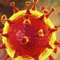 Coronavírus: Brasil é vulnerável a nova cepa