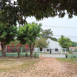 Muito além de cartas: entenda a importância dos Correios no interior do país