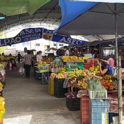 Mesmo com a reabertura, feirantes e ambulantes revelam dificuldades na geração de renda