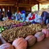 Senado aprova medidas emergenciais de apoio à agricultura familiar