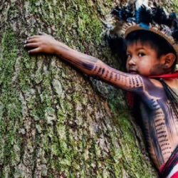 Sair de tratado da OIT ameaça povos indígenas do Brasil de extermínio