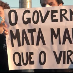 Em debate sobre ‘os colapsos’ do Brasil de Bolsonaro, cientistas defendem educação para a democracia