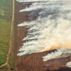 COP26 duvida de promessa de governo brasileiro. ‘Pedalada climática’