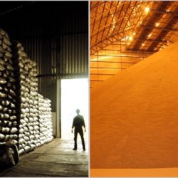 Abandono de estoques e menos agricultura familiar são ingredientes do aumento da fome no país