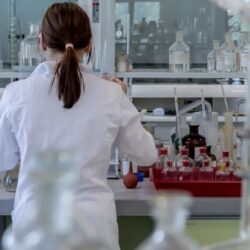 Candida auris: Anvisa confirma 3º caso e alerta para surto de “superfungo” no Brasil