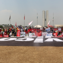 Fonasefe discute mobilizações e proposta de greve unificada de servidores federais é pauta principal