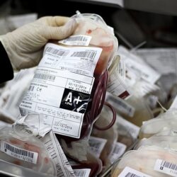 Bancos de sangue trabalham para reverter baixa de doações