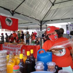 Consumir alimentos agroecológicos pode ser uma alternativa ao aumento do preço dos alimentos