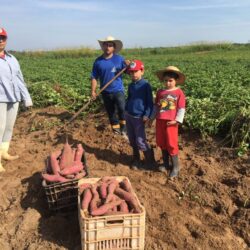 MST doa alimentos para pastoral de Pe. Julio Lancelloti em dia marcado por dados sobre a fome