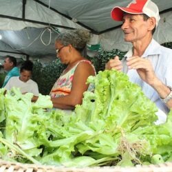 Feiras agroecológicas estimulam o consumo de alimentos saudáveis e da agricultura familiar