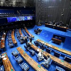 Você sabe qual o papel de um senador da República?