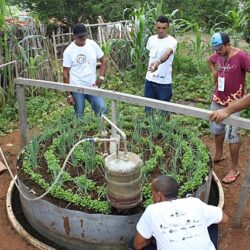 Famílias agricultoras aprendem a cozinhar com gás de biodigestor no interior do Ceará