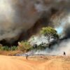 “Agro é fogo”: dossiê aponta que incêndios florestais são um projeto político no Brasil