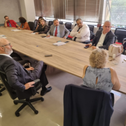 Fenajufe e sindicatos traçam estratégias de atuação pela derrubada do veto ao NS
