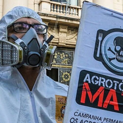 Matar a fome? Idec divulga novo estudo sobre presença de agrotóxicos em ultraprocessados