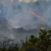 A hora e a vez da sustentabilidade ambiental – o Brasil vai finalmente enfrentar a crise climática, por Fernanda Feil