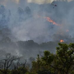 A hora e a vez da sustentabilidade ambiental – o Brasil vai finalmente enfrentar a crise climática, por Fernanda Feil