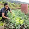 Combate à fome: Paulo Teixeira anuncia ida da Conab para Ministério do Desenvolvimento Agrário