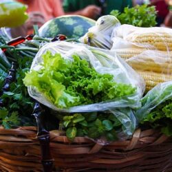 Direito à terra e respeito à cultura alimentar dos povos são essenciais para combate à fome