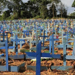 Ações e atitudes do governo Bolsonaro contribuíram para as 700 mil mortes por Covid