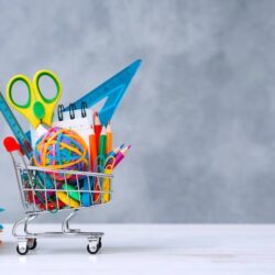 Senado aprova feiras escolares como despesas do ensino público