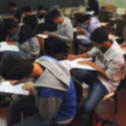 Por que revogar o Novo Ensino Médio?