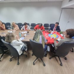 Fenajufe e Sisejufe levam pautas sociais ao Ministério dos Direitos Humanos e Cidadania