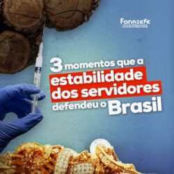 Três momentos em que a estabilidade dos servidores(as) públicos(as) defendeu o Brasil!
