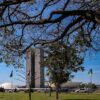 Senado começa a analisar novo arcabouço fiscal esta semana