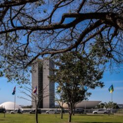 Senado começa a analisar novo arcabouço fiscal esta semana