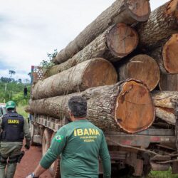 Governo autoriza contratação de 257 servidores para o Ibama