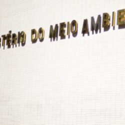 Ministério cria mesa de negociação com servidores do setor ambiental