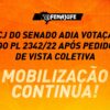 CCJ do Senado adia votação do PL 2342/22 após pedido de vista coletiva