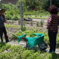 Ministério estuda programa de renegociação de dívidas para agricultores familiares