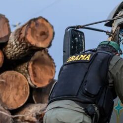 Servidores do Ibama prometem suspender fiscalização ambiental