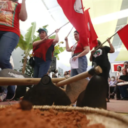 Ministro diz que tem pressa para retomar reforma agrária