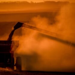 PIB cresce 2,9% no primeiro ano do governo Lula puxado por agro e consumo de famílias