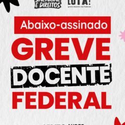 GREVE DOCENTE – Abaixo-assinado ao governo: ANDES e SINASEFE são os sindicatos legítimos para representar docentes