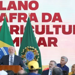 Governo lança Plano Safra para o agronegócio e a agricultura familiar nesta quarta-feira (3)