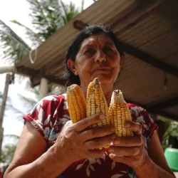 Mulheres representam 40% do trabalho agrícola, mas são maior parte da população com fome no Brasil