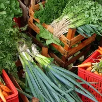 Custo de cesta básica ideal para uma pessoa chega a R$ 432 em abril