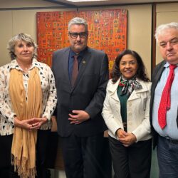 Sindireceita se reúne com deputada Erika Kokay para tratar pautas da categoria