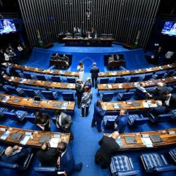 Plenário avalia cotas para mulheres em conselhos de estatais