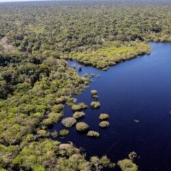 “PL da Devastação” pode ser aprovado esta semana na Câmara