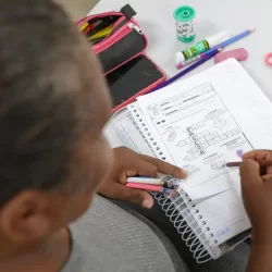Inserção no mercado de trabalho tende a melhorar habilidade de leitura